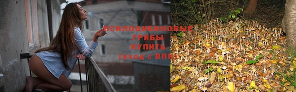 спиды Вязьма