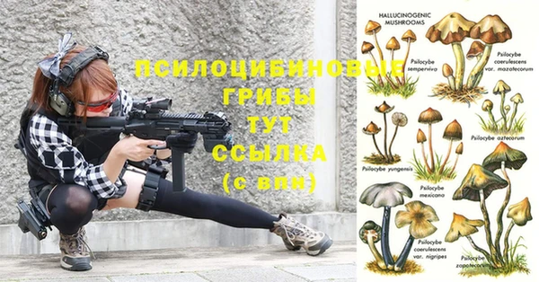 ешки Вязники