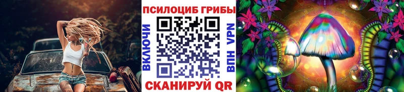 магазин    Дедовск  ссылка на мегу tor  Псилоцибиновые грибы Psilocybine cubensis 